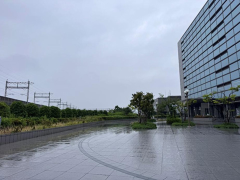 雨の定点観測点 2025.06