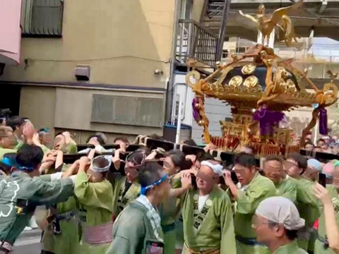 田端八幡神社例大祭③ 本宮神輿が勢いよく通過中 2025.8