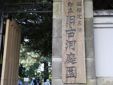 202510_2_旧古河庭園 希少ばらフェスティバルにて②_旧古河庭園