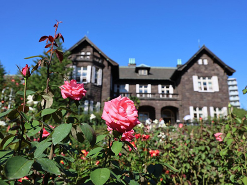 202510_6_旧古河庭園 希少ばらフェスティバルにて⑥_旧古河庭園