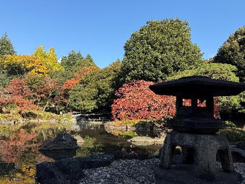 202511_5_旧古河庭園の紅葉③_旧古河庭園