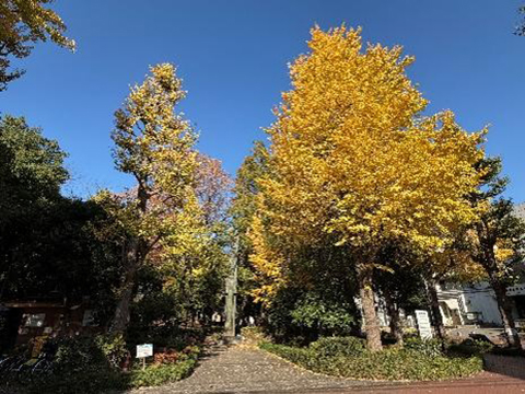 202511_7_西ヶ原公園にて_西ヶ原公園