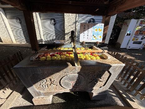 202511_10_五社神社にて②_五社神社