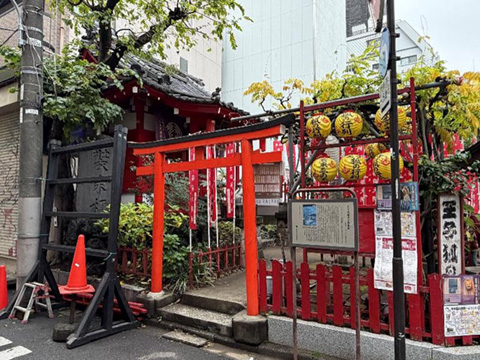 202512_15_装束榎 （3代目といわれています）_装束稲荷神社