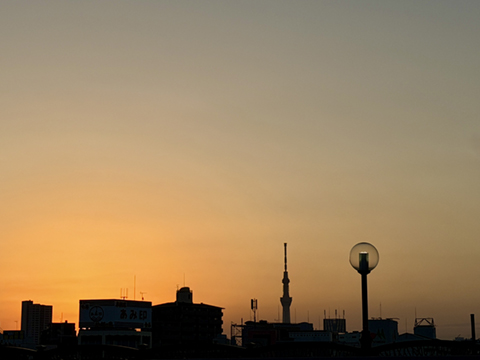202601_5_新田端大橋の夜明け_スカイツリー遠景